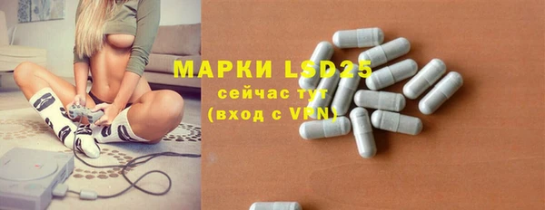 ГАЛЛЮЦИНОГЕННЫЕ ГРИБЫ Беломорск