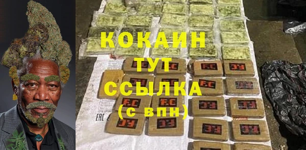 гашик Белоозёрский