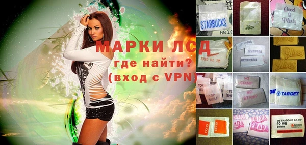apvp Белокуриха