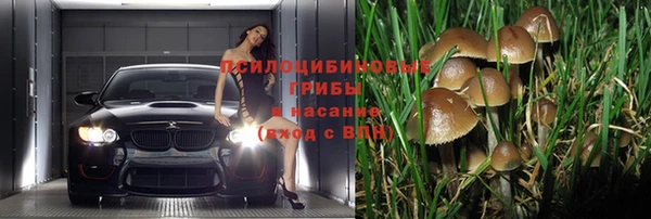 apvp Белокуриха